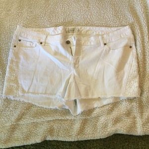 Torrid white denim shorts with lace detail